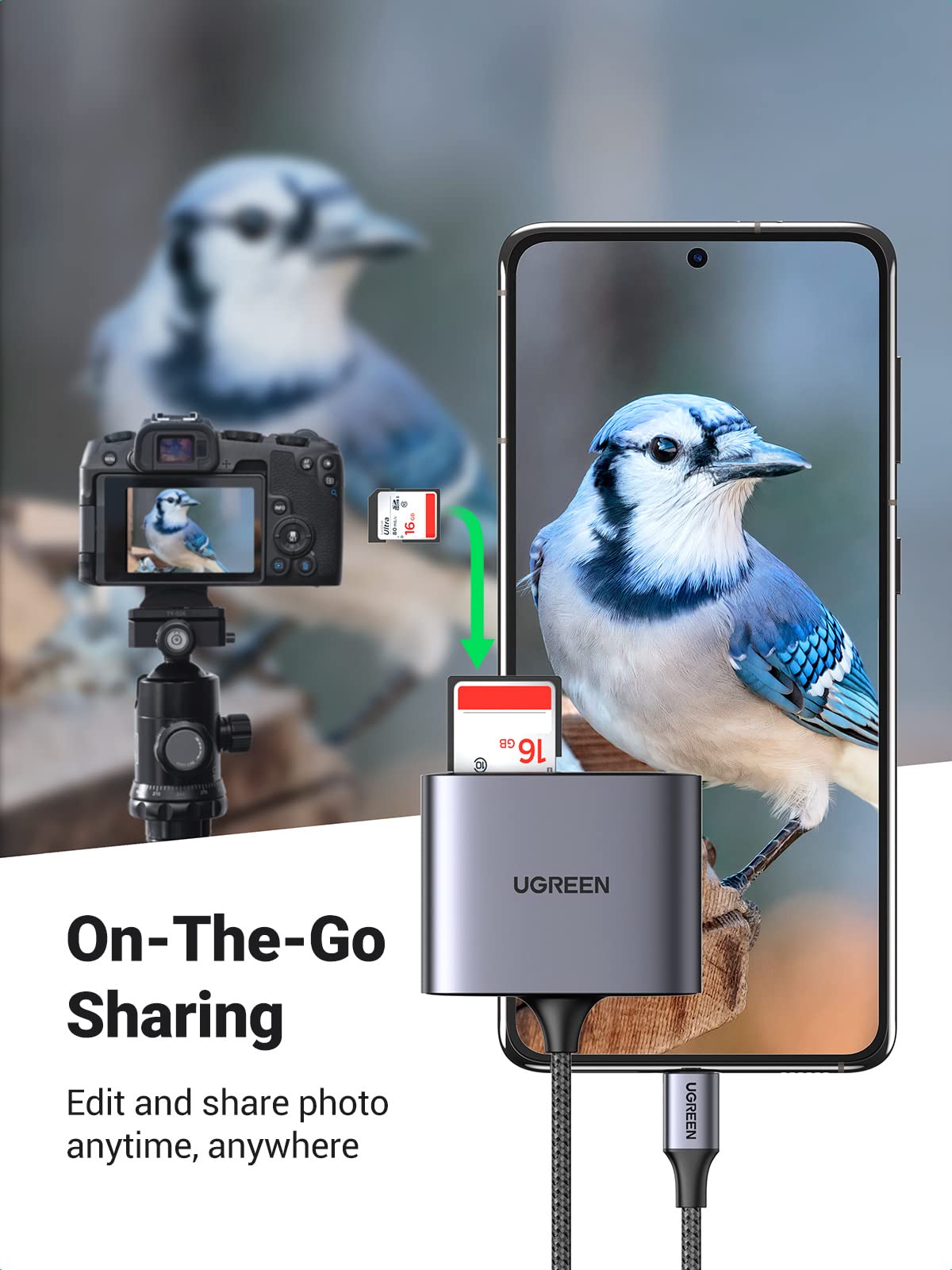قارئ بطاقات Ugreen USB C SD 3 في 1، محول بطاقة من النوع C، قارئ بطاقة الذاكرة Micro SD